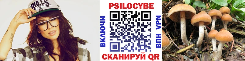 Галлюциногенные грибы Psilocybe  Алапаевск 